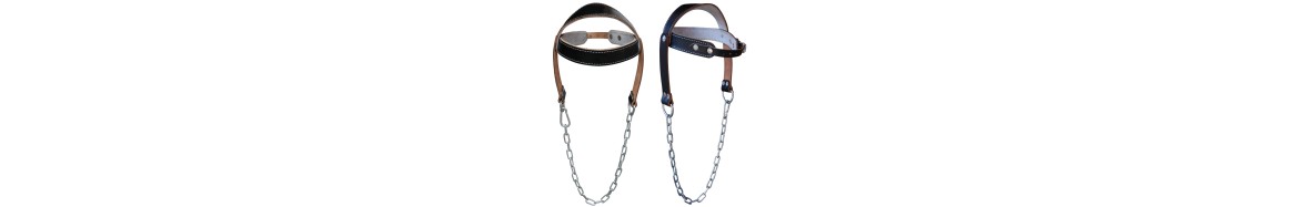 Head Harness